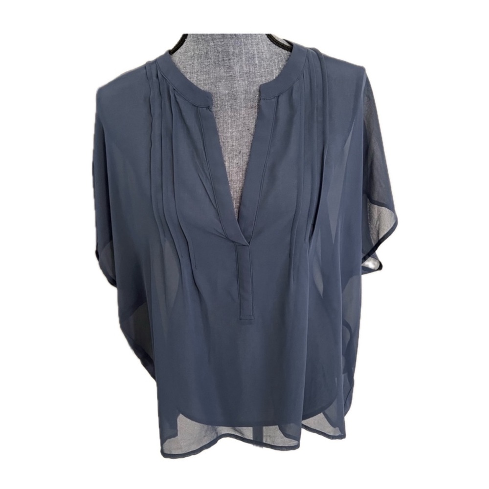 Olivia Moon Blue Sheer Top